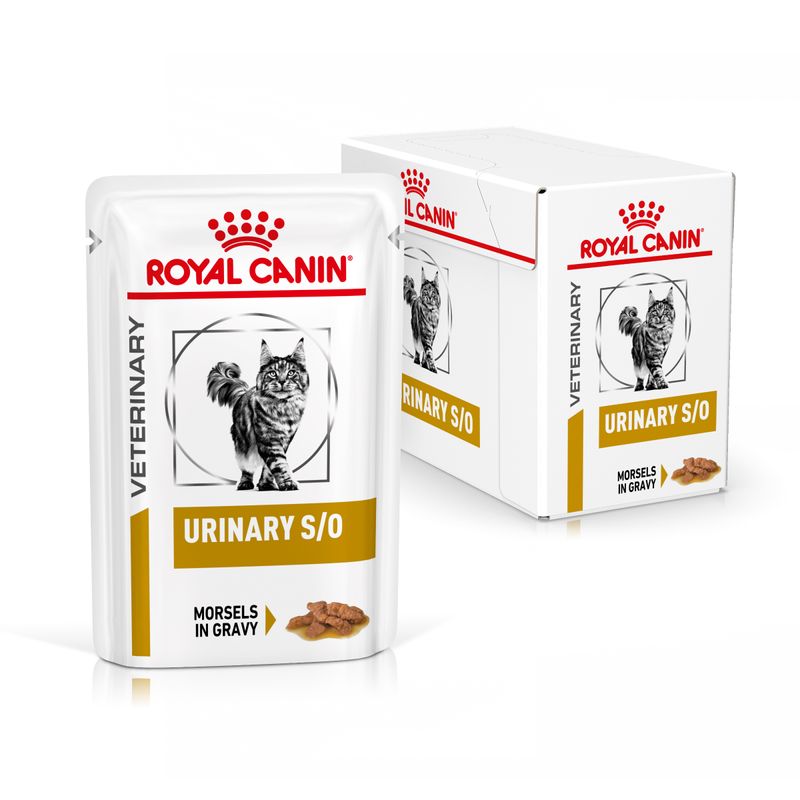 12x85g Royal Canin Urinary S/O in Salsa - Cibo Umido per Gatti 12x85g Royal Canin Urinary S/O in Salsa - Cibo Umido per Gatti